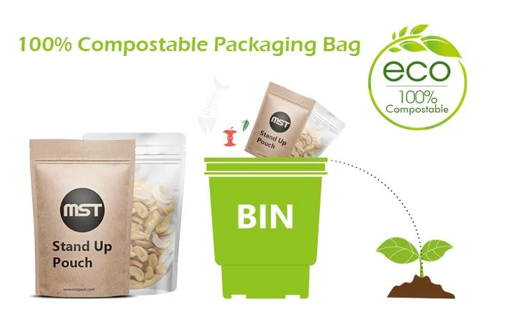 Compostable Custom Zipper Food Snack Nut Stand up Pouches Packaging Zip Lock Coffee Tea Kraft Paper Doypack Biodegradabale Bags with Window