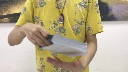 Custom Printed Compostable PLA Flat Bottom Pouch for Pet Food