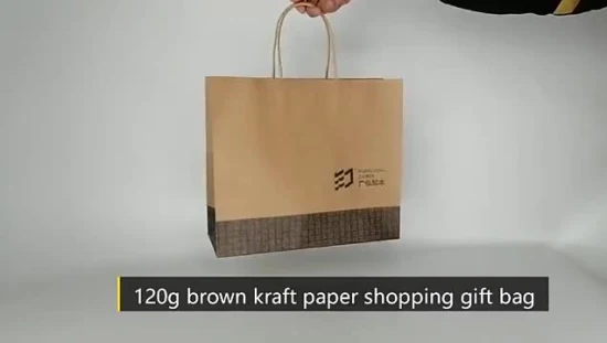 Recyclable Food Grade Material Bakery Bread Bag Take out Food Bag Grocery Shopping Packing Bag with Die Cut /Flat /Twist Handle