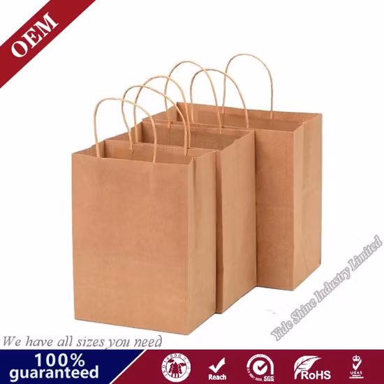 Wholesale Recyclable Shopping Gift Kraft Paper Grocery Bag Christmas Goodie Bag Bakery Paper Bags with Handle