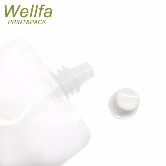 Powder Packing Plastic Refill Package Packaging Liquid in Spout Body Scrub Stand up Pouch Wash Hand Soap Scrub Laundry Detergent Bag